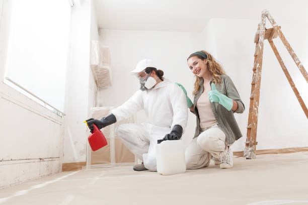  Brownsville, FL Mold Removal Pros